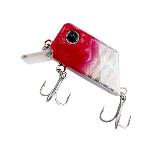 ނa NNxCg u[ gbvEH[^[ lHn[hxCg gbvEH[^[ lHu[ XCxCg GfX ~m[ A[ XCxCg ^bN