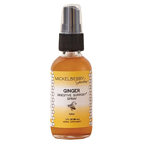 Ginger Digestive Support Spray - Natural Digestion Support - Organic Ginger Root Herbal Supplement (2 Ounces) #TOP3