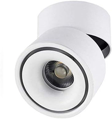 CHMPH Indoor 10W LED Spotlight Wall Light 360°Adjustable Ceiling Downlight/Surface Mounted COB Lighting LED/Cool White 6000K/ 10X10CM/Aluminum Wall Lamp or Spot Light (White-6000K)