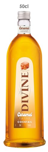 Pure Divine - Tasty Caramel Cocktail - Liqueur aromatisée à base de vodka - 15 pourcent vol (1 x 0,50 l)