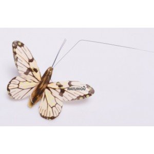 Papillon solaire Héliobil
