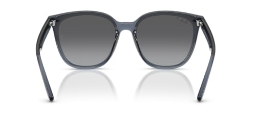 Ray-Ban Rb4423d Square Sunglasses4