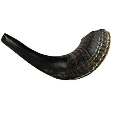 Ram's Horn Shofar Kosher Mini 10