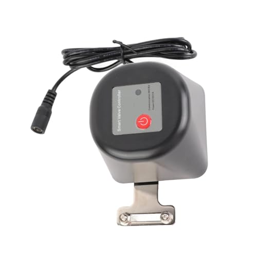 MTMXALBBR Válvula de agua inteligente con control remoto y temporizador de gas for tuberías domésticas leisurely