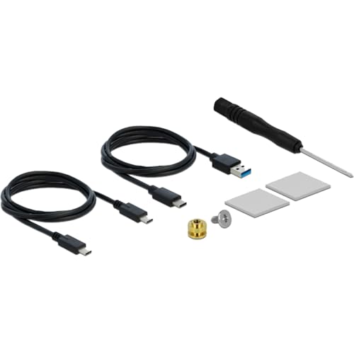 Cofre externo Delock para M.2 NVMe PCIe SSD con USB Tipo C miniatura 5