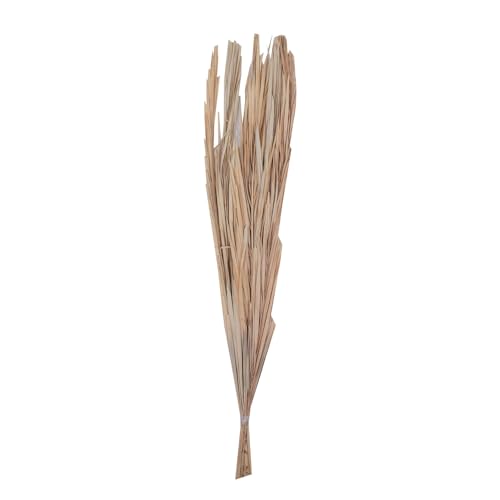Vickerman Natural Botanicals 25