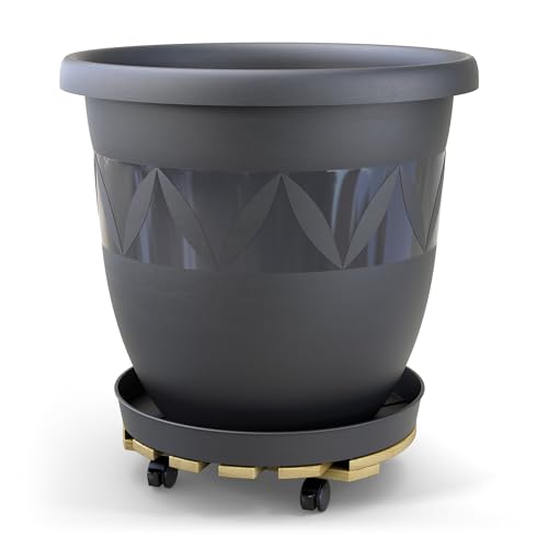 Plastard Pflanzroller mit Capri Blumentopf Ø 47 cm mit Untersetzer Anthrazit, Witterungsbeständig, Kunststoff-Pflanzkübel für Innen & Außen, Rollen mit Feststellfunktion