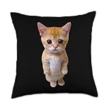 El Gato Meme Sad Crying Cat Munchkin Kitty Meme Trendy Throw Pillow