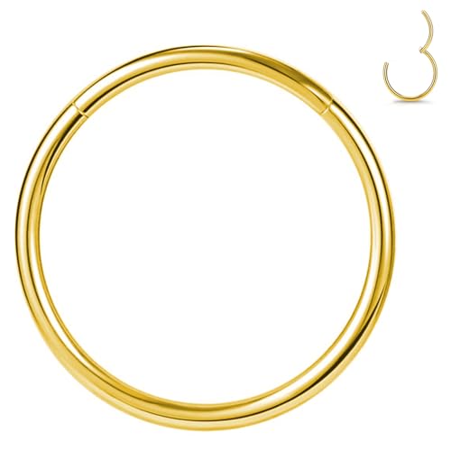 1Pcs Women Men Gold Titanium Nose Rings Hoop 16G 10mm Hinged Septum Piercing Ring Clicker for Nostril Cartilage Helix Daith Tragus Rook Conch Lip Ear Lobe Segment Ring Piercings