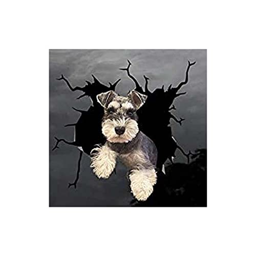 HiCollie XebJ[ NbNJ[XebJ[ Ԃ̃gbNp Ԃ̃XebJ[ gbN m[gubN X[cP[XViEU[12x12C` (A)