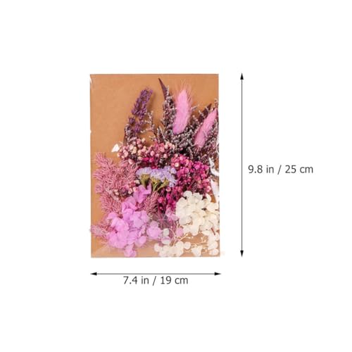 Kit de flores secas para manualidades y decoración miniatura 2