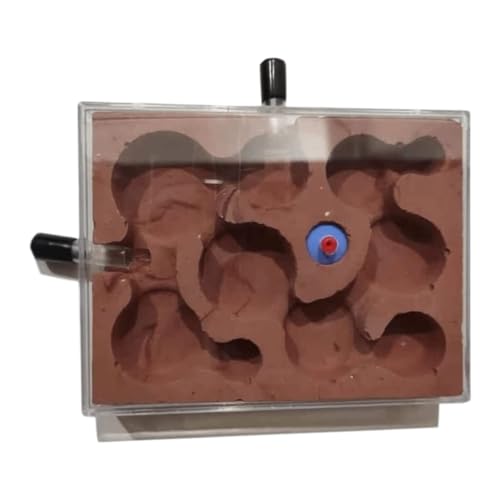 Nido Hormigas Casa Insectos Pet Castillo De Yeso para Hormigas Observa Cómo Las Cavan Túneles Granja para Casa para Kit Hormiguero(Chocolate)