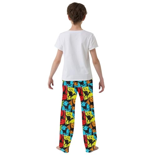 ZZXXB Retro Dinosaur Boys Long Pants Soft Trousers Elastic Waist Kids Lounge Bottoms with Pockets S-XL3