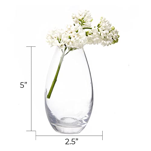 Chive ‘George’ Glass Bottle Flower Vases — Set Of 6 — Small, Elegant Clear Glass Bud Vases — Bulk Pack For Home Decor & Table Centerpieces — Shape 5 (Oval, 5” Tall, 2.5” Wide) #TOP2