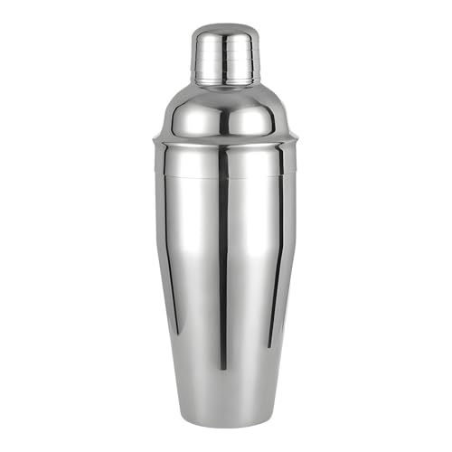 Cocktail Shaker, 24 oz Martini Shaker, Drink Shaker Built-in Strainer, Professional Drink Mixer Set for Beginners, Silver