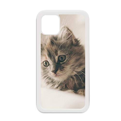 Coque iPhone 12 Pro Max chat gris Anti-rayures Protection