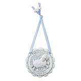 Dimensiones: medalla redonda de 8,9 cm de diámetro y aproximadamente 1,2 cm de grosor