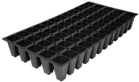 Juniper Parsoni - 10 Live Plants - Juniperus Squamata Expansa Parsons - Drought Tolerant Cold Hardy Evergreen Ground Cover #TOP7