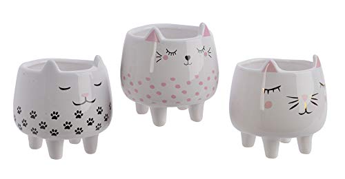 Decoris Maceta de Gato 8 x 10 cm, 1 Pieza surtida.