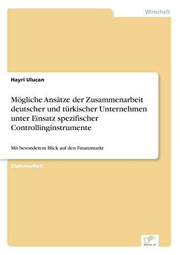 Mögliche Ansätze der Zusammenarbeit deutscher und türkischer Unternehmen unter Einsatz spezifischer Controllinginstrumente: Mit besonderem Blick auf den Finanzmarkt (German Edition)