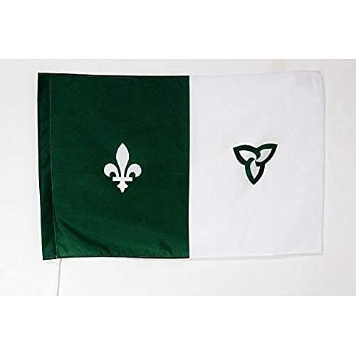 AZ FLAG, Franco-Ontarian Flag, 2x3 Ft, Franco-Ontariens Banner with Sleeve, 100% Polyester, Fade Resistant, Vivid Colors