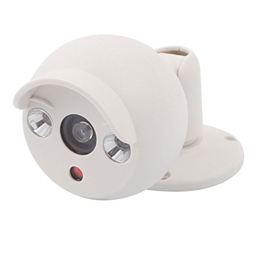 Aexit Human's Face Electronic security Battery Operated Home Security Dummy Dome Camera LED Flashing