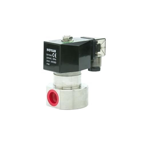 Électrovanne Haute Pression contre les fuites de fluides en acier inox 304 220V