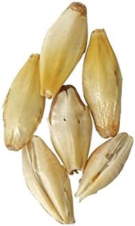 Malta - Caramelo Vienne Malta 20L - 1 lb