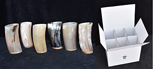 Viking Traders Medieval Handcrafted Norse Drinking Horn Glass Wooden Base Pack Of 6 For Beer Ale Mead And Wine Ceremonial Gift Pack #TOP1