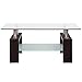 Tangkula Rectangle Glass Coffee Table, 2-Tier Tea Table w/Tempered Glass Tabletop & Stainless Steel Tube, Modern Center Side Table w/Wooden Legs & Lower Shelf, Glass End Table for Living Room