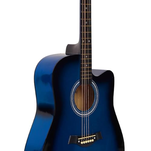 Image of Intern 41 Inch Guitar for Beginners With Truss Rod | musical instrument for adults | Acoustic guitar | Linden wood With Picks. (Blue)