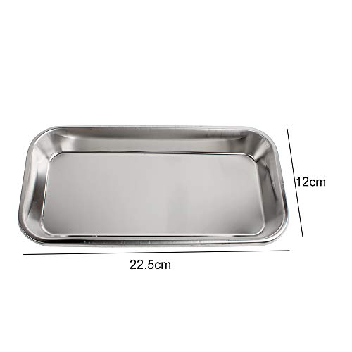 2 Pack Medical Stainless Steel Instrument Tray Lab Instrument Dental Tool By Vinmax #TOP5