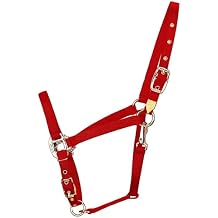Hamilton Deluxe Arabian Horse Halter, 3/4" Triple Ply Nylon, Adjustable Chin Strap, Easy On/Off Throat Snap, Average Horse, Arabian, or Yearling Draft, 800-1100 lbs, Red