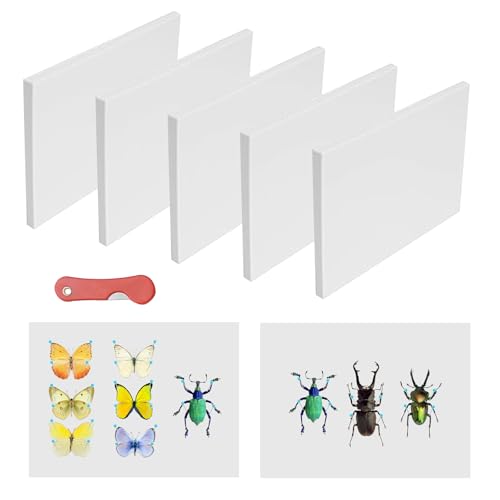 6 PCS Insect Pinning Boards for Specimens