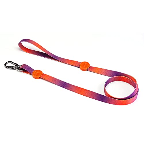 Conjunto Coleira + Guia Degrade - Prediletta (P)