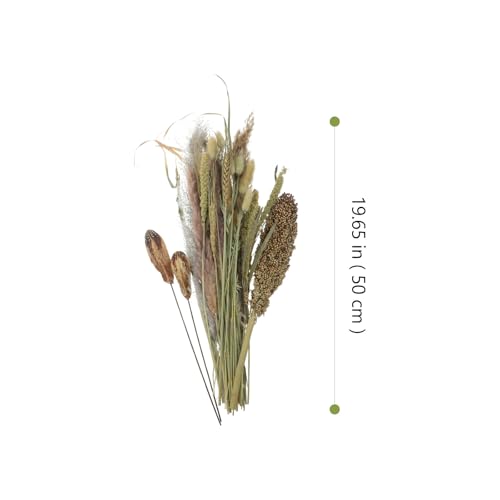 Ramo decorativo de pasto pampas seco natural miniatura 5