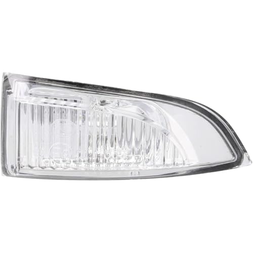 Easy Link Retrovisor Luce de Giro Derecho Intermitente Indicador Lateral Espejo Lado del Pasajero Compatible con Renault Megane 3 III Coupe Fluence Scenic 3 Laguna 3 Coupe 261609550R