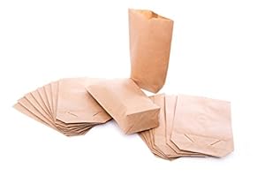 Logbuch-Verlag 10 braune Papiertüten Kraftpapier
