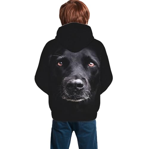 Black Labrador Boy, Girls Sports Shirt Youth Pullover Fashion Hooded Sweatshirt2