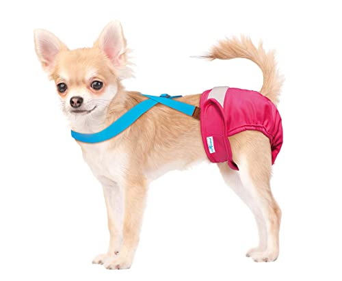 Image of PAW Inspired Dog Diaper Suspenders, Blue, X-Small /Small | Extra-Small /Small, Stretchy Adjustable Straps, Velcro Closures, For Female and Male Disposable and Washable Diapers