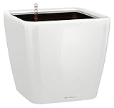 premium 3000 yetico Lieferumfang: 1x LECHUZA QUADRO Premium LS 43, Inkl. Bewässerungssystem, Material: Kunststoff, Farbe: Weiß Hochglanz, Maße: 43 x 43 x 39,5 cm, Pflanzeinsatz: 36,5 x 36,5 cm, Pflanzvolumen: 32 l, Max. Pflanzhöhe: 100 cm, 16180