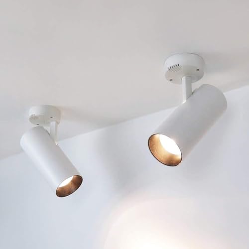 Iluminación de montaje moderna con lámpara de techo plegable 4000 K 2