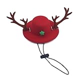 bébé chaton a donner rennes Taille du chapeau réglable, convient pour les animaux de compagnie de différentes tailles