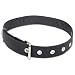 3M DBI-SALA Fall Protection For Tools, 1500113,Slimmer Profile Utility Belt, Waist Size 28"-46"