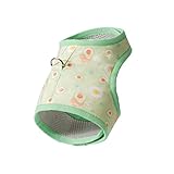 BESPORTBLE 1 Juego Correa De Gato Mascotas Arneses para Gatos Correa De Cuerda De Gato Chaleco Transpirable para Perros Arnés para Animales Pequeños Suspensión De Cami Green Tela De Malla