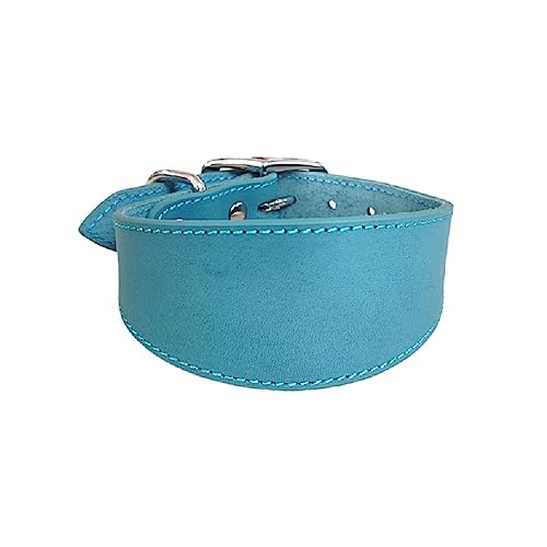 Lederhalsband Für Windhunde & Greyhounds – Weich Gepolstert, Halsumfang 33–38 Cm, Schwarz