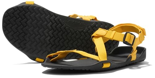 Image of Xero Shoes Women's Z-Trek Barefoot Hiking Sandals