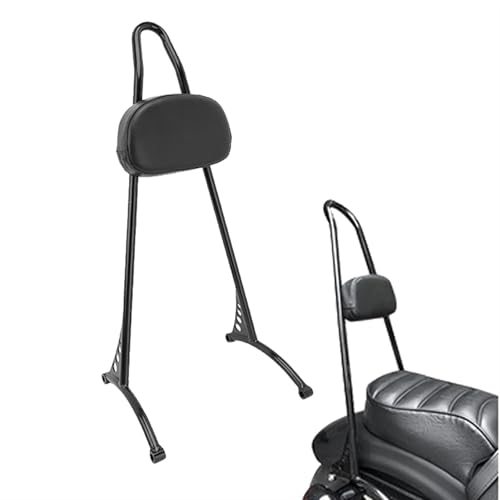 Sissy bar Sportster XL1200V : résolvez le manque de confort du passager