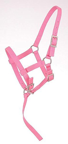 Tough 1 Adjustable Weanling Foal Nylon Halter with Removable Nylon Catch Strap. Color Choicce (Pink)