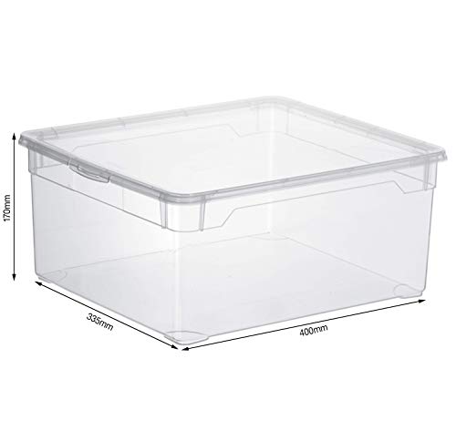 Rotho Clear Scatola con Coperchio, Plastica (PP)